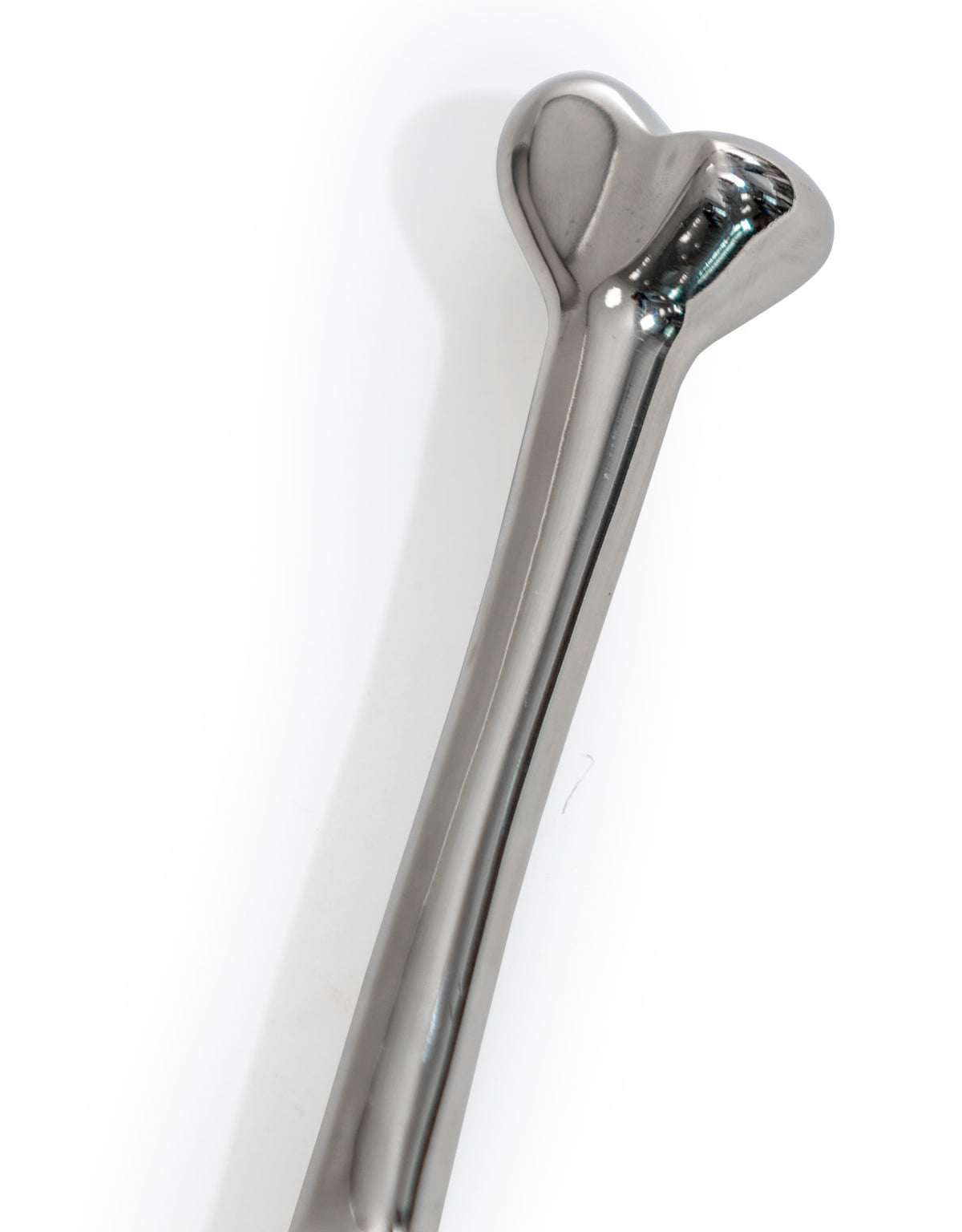 Large Bone Magnifying Glass