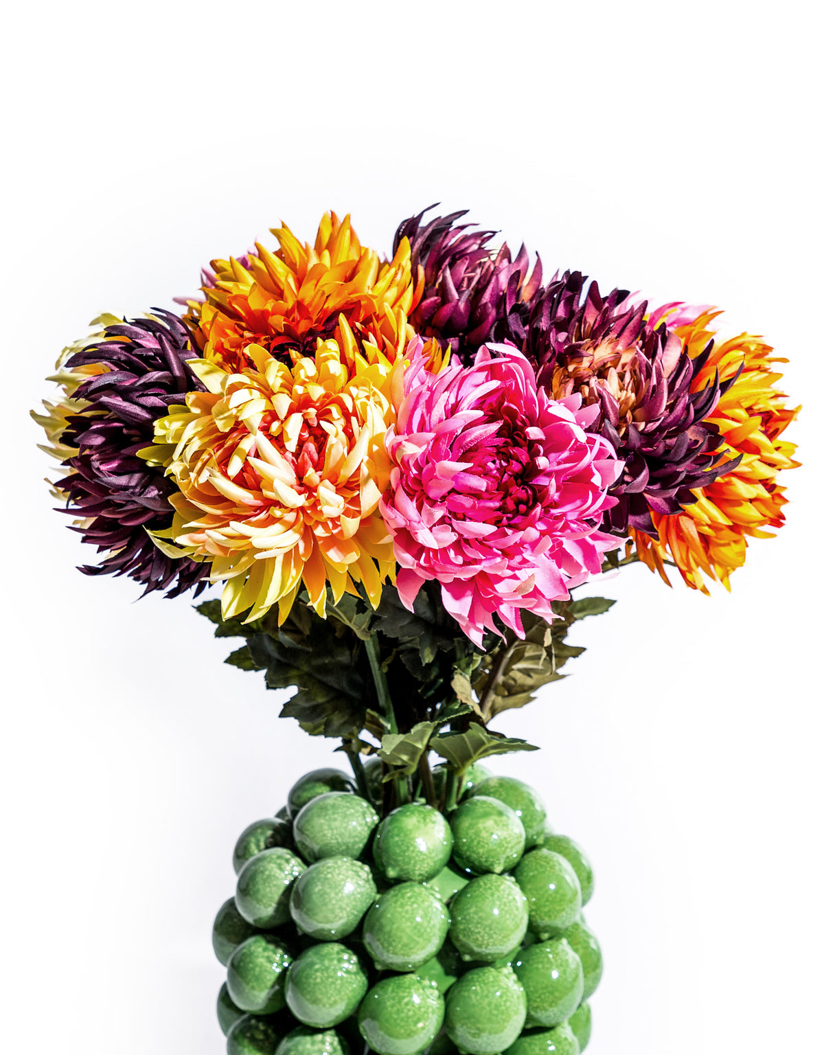 Assorted Mixed Colour Daisy Ball Stems