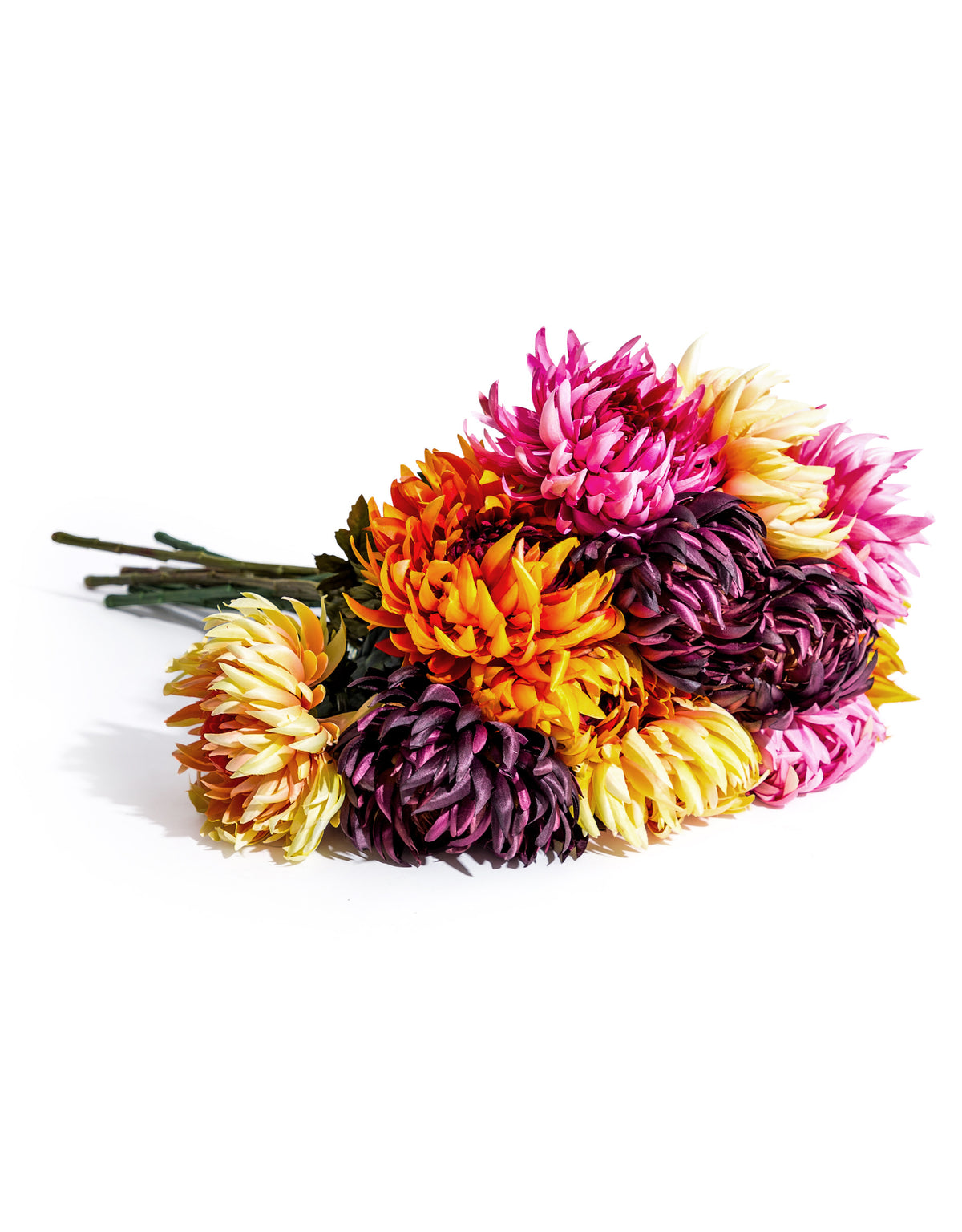 Assorted Mixed Colour Daisy Ball Stems