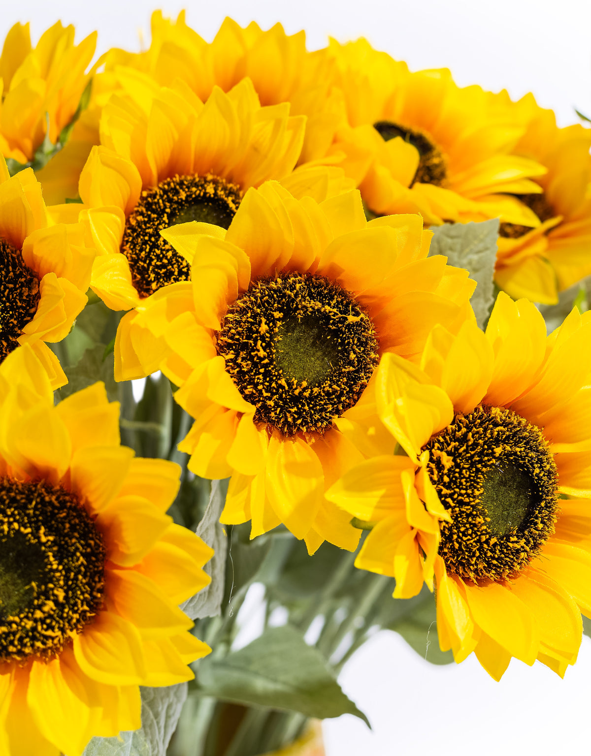 Single Sunflower Stem