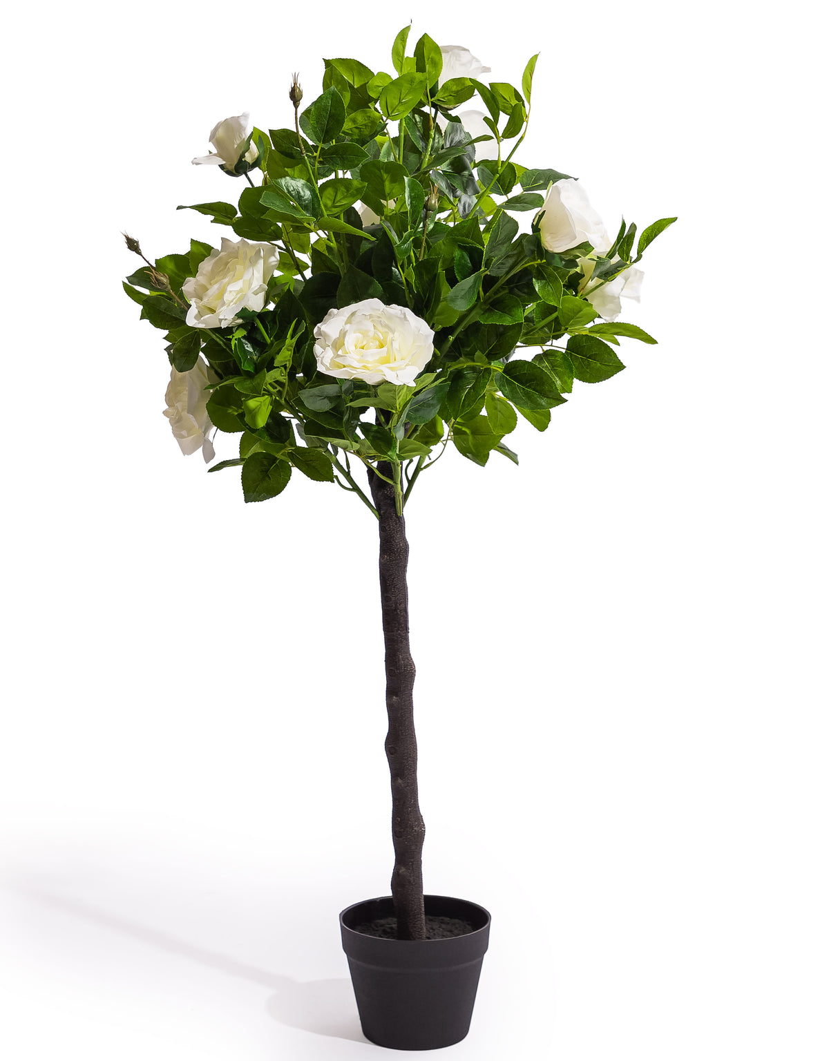 Large Ornamental Potted White Rose Tree