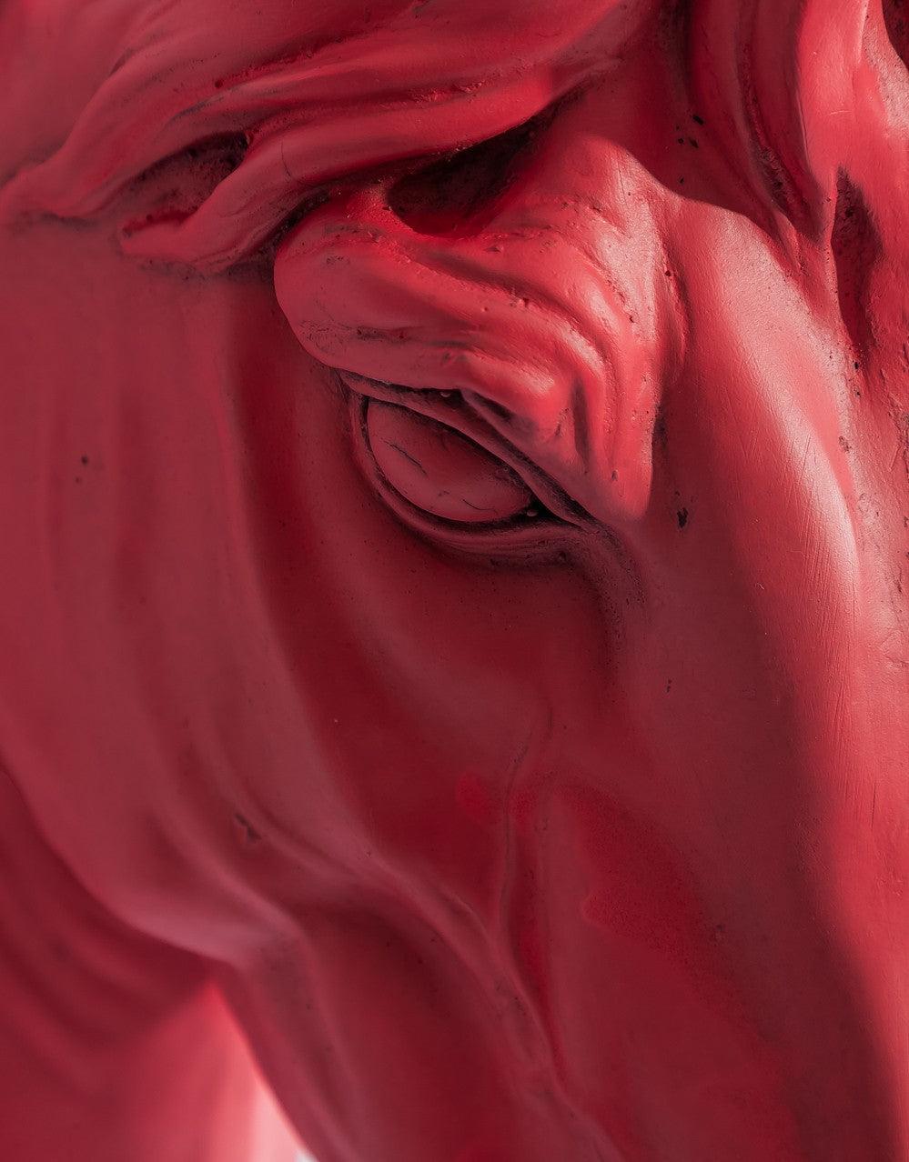 Magenta "Pink Pony" Large Horse Wall Head