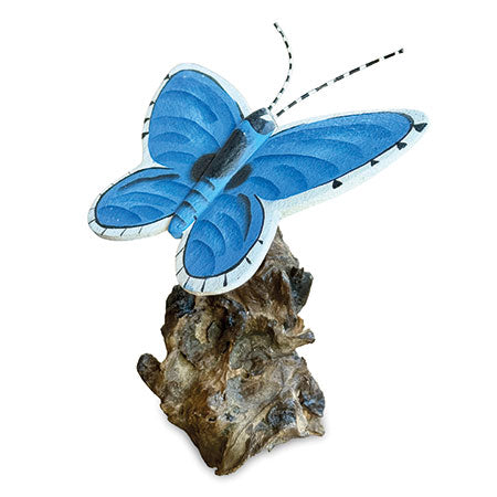 HOLLY BLUE BUTTERFLY ON DRIFTWOOD 20CM WIDE