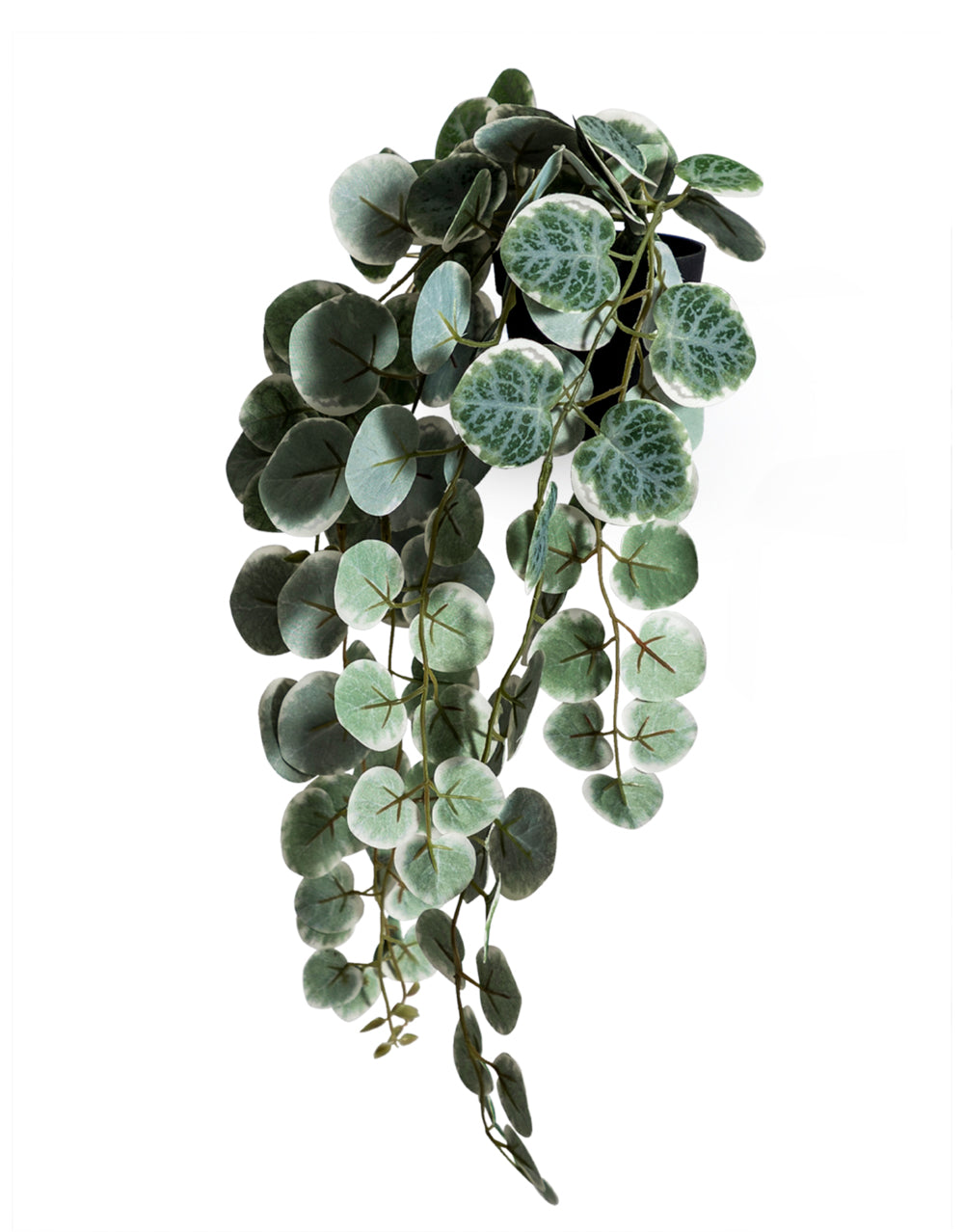 Ornamental Hanging "Chain of Hearts" in Black Pot