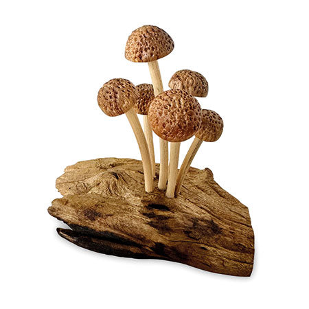 SKINNY MUSHROOM FOREST
