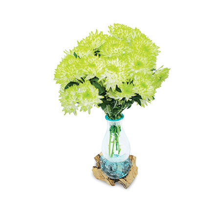 DRIFTWOOD WITH MOLTEN GLASS VASE 25CM