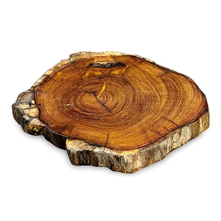 TREE ROOT SLICE COASTER 10-17CM