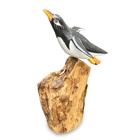 SINGLE CLIFF DIVING PENGUIN 13-15h