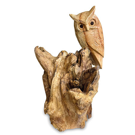 SINGLE TAWNY OWL ON DRIFTWOOD