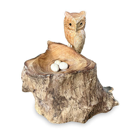 NESTING SINGLE TAWNY OWL