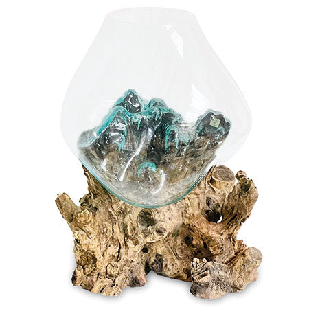 ROOT WITH GLASS BOWL EXTRA EXTRA LARGE