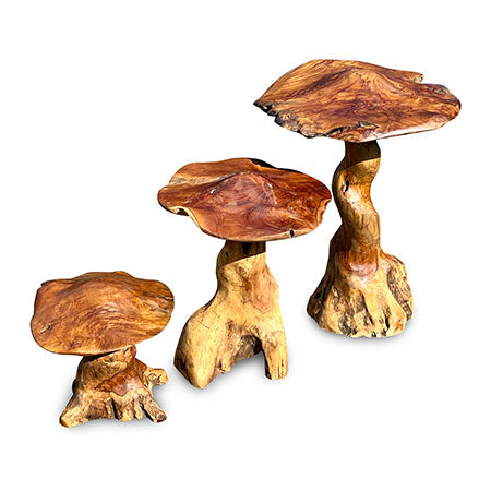 Teak Root Giant Wild Toadstools set of three