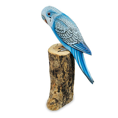 BLUE BUDGIE 20cm