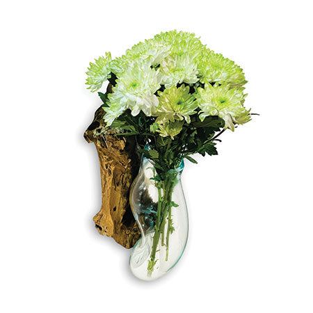 ROOT WITH GLASS BOWL WALL HANGING