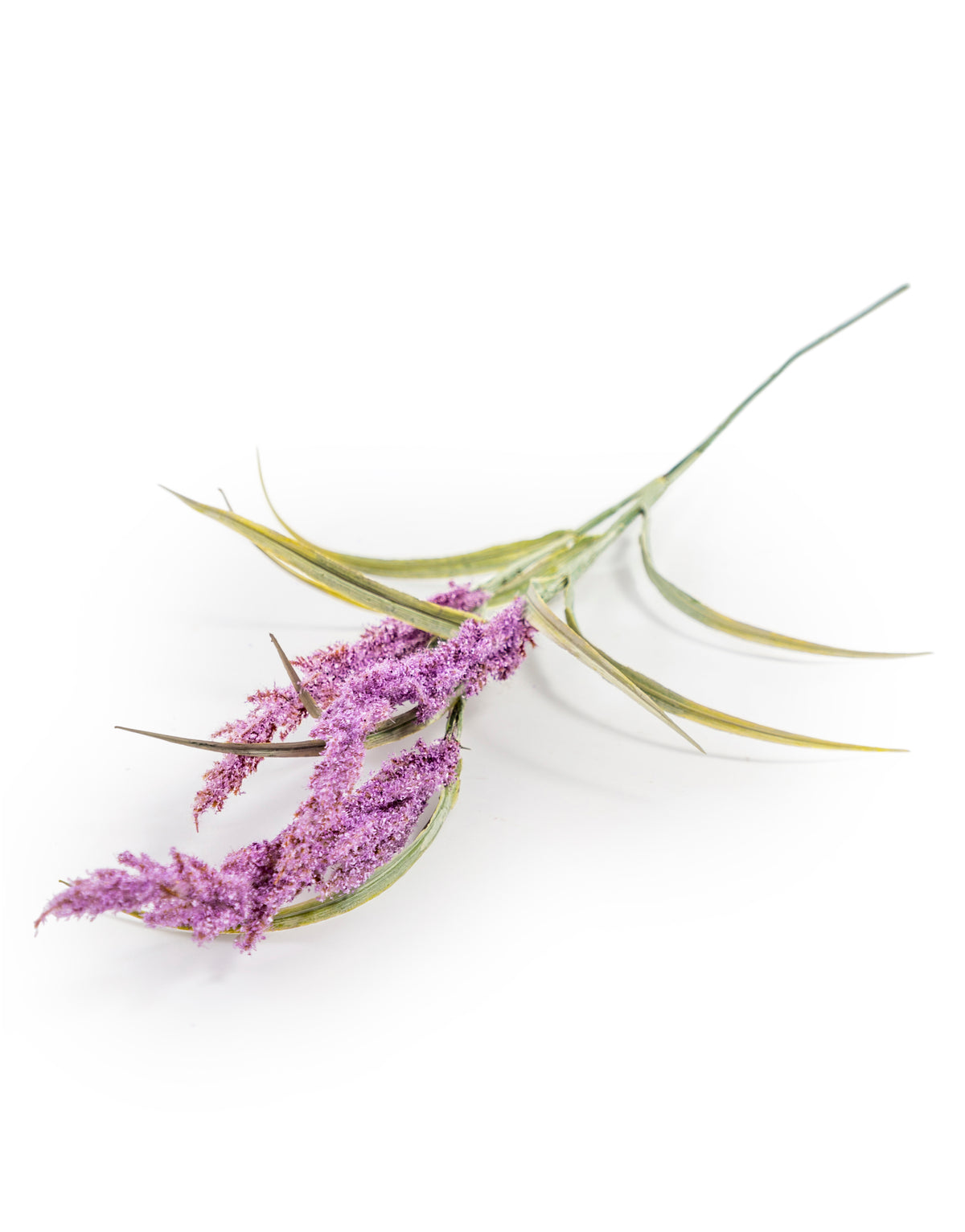 Single Reed Stem