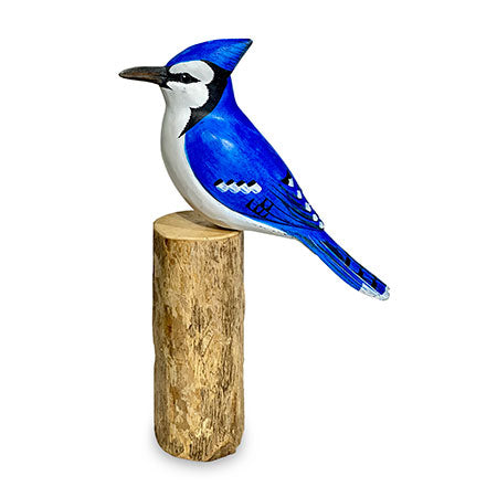 BLUE JAY