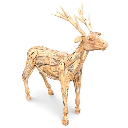 Root small reindeer