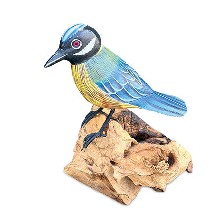 SINGLE BLUE TIT FORAGING