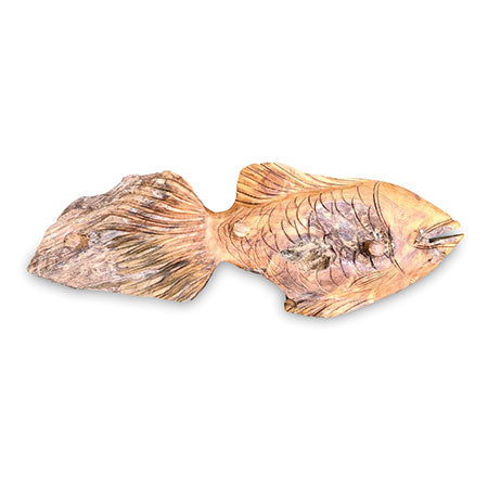 Teak Driftwood Fish Wall coat rack