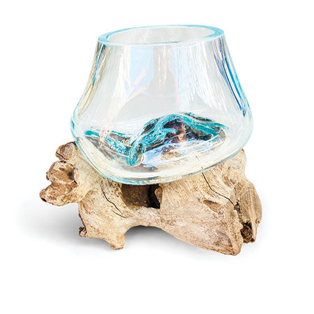 ROOT WITH GLASS BOWL TINY
