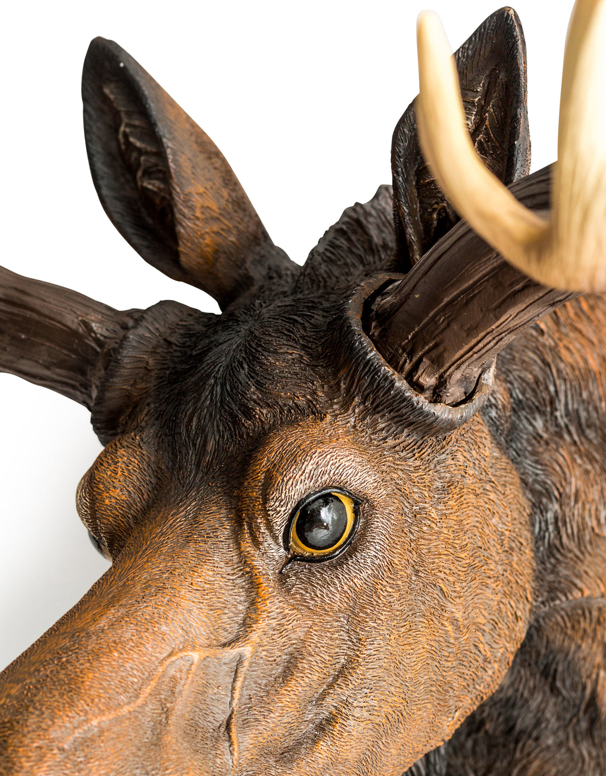 Large Moose Wall Head
