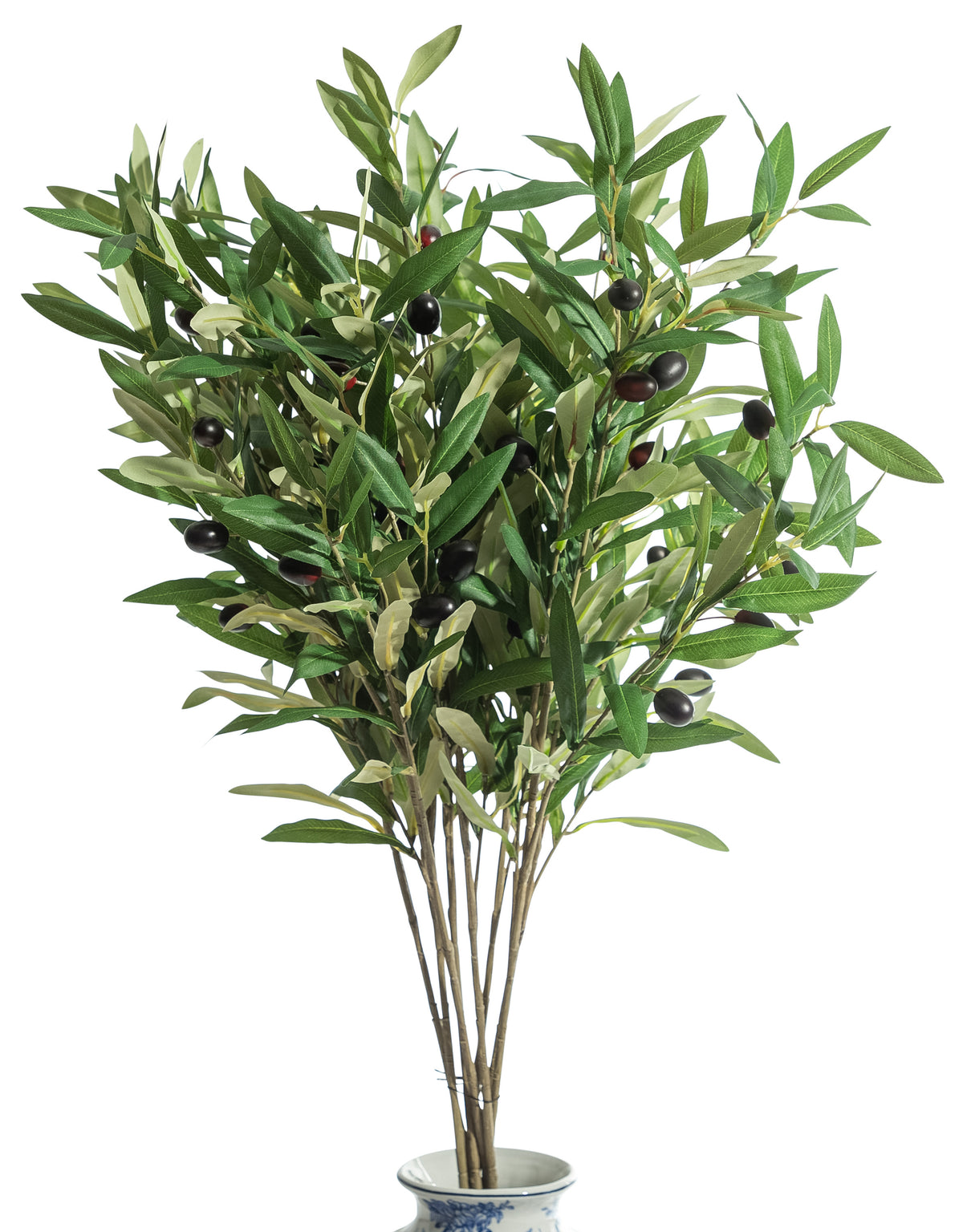 Single Olive Branch Stem