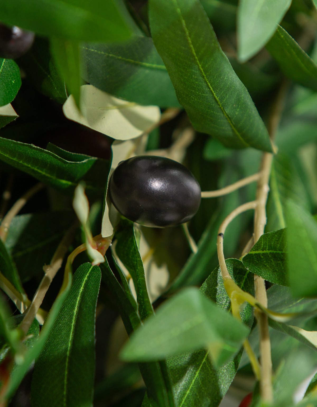 Single Olive Branch Stem