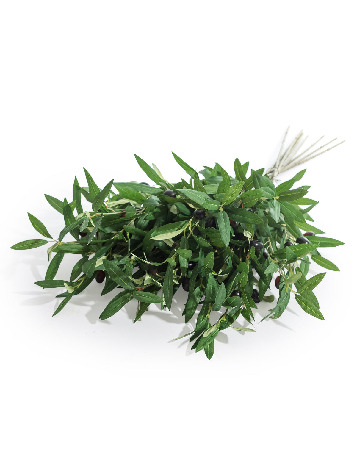 Single Olive Branch Stem