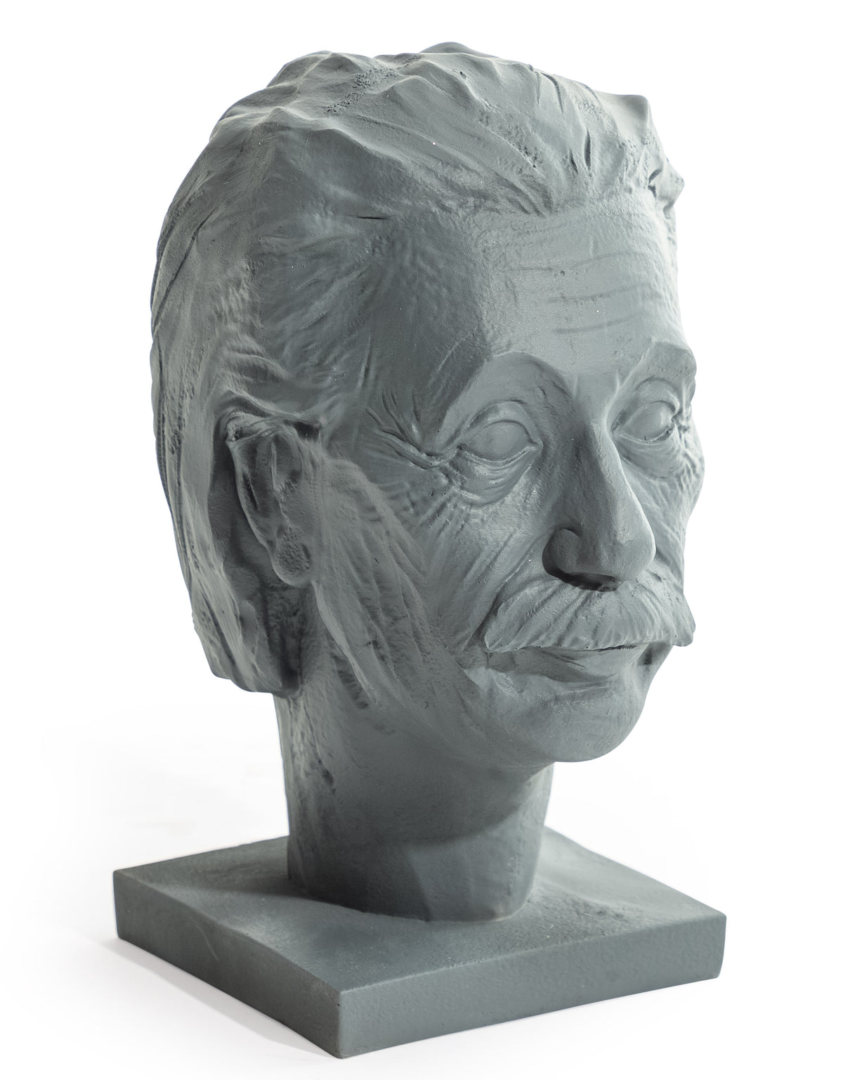 Albert Einstein Head Ornament / Headset Holder