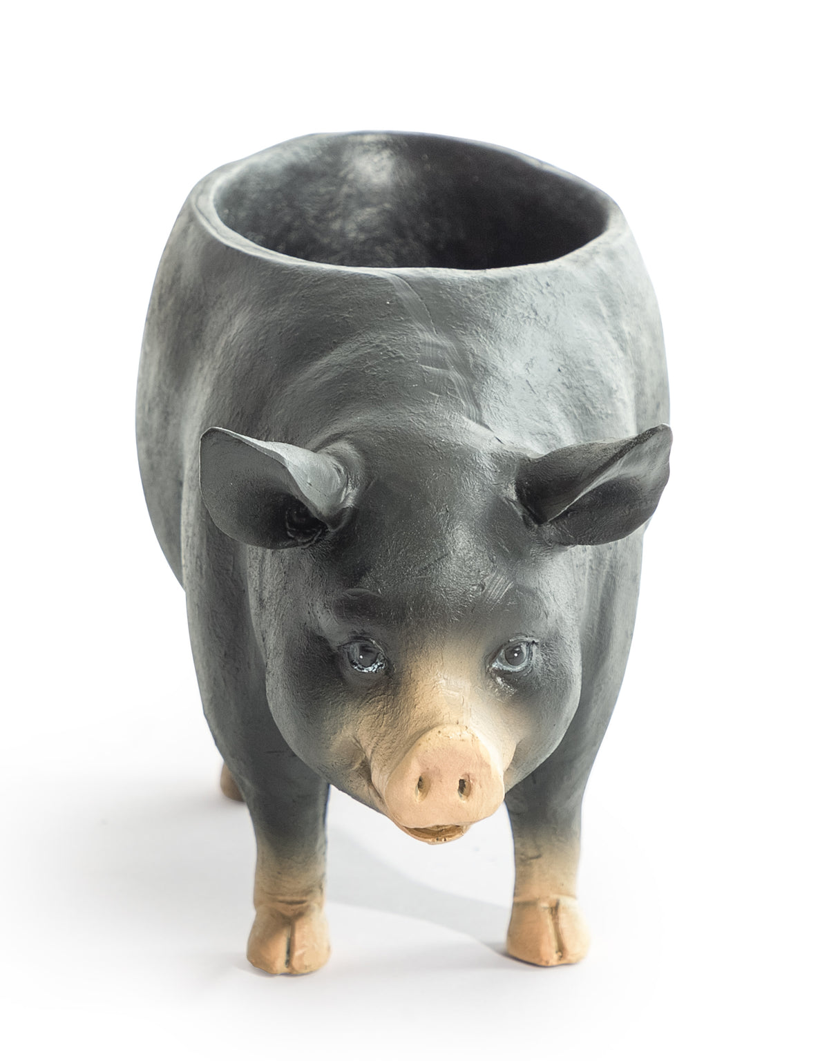Standing Pig Planter / Storage Bowl