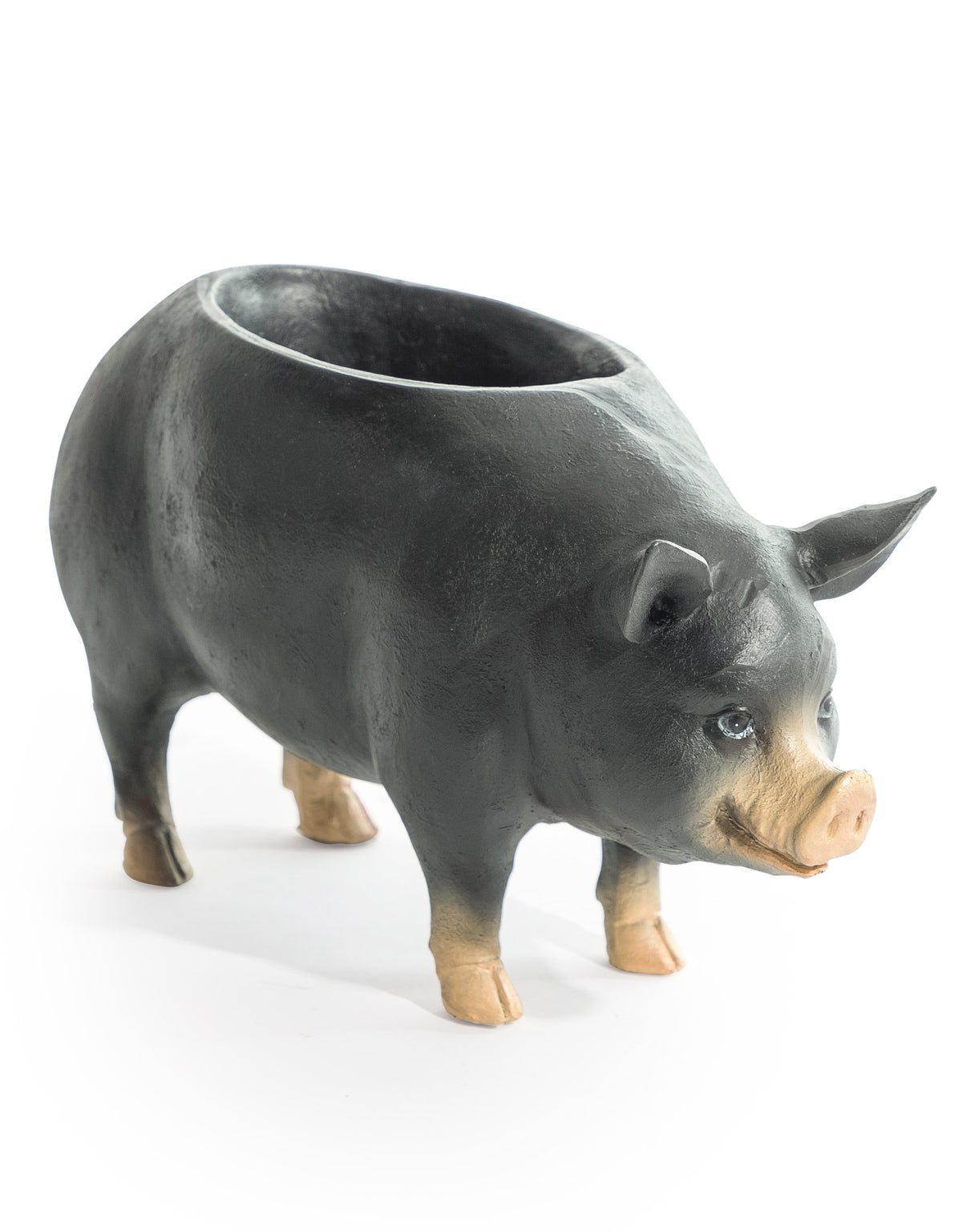 Standing Pig Planter / Storage Bowl