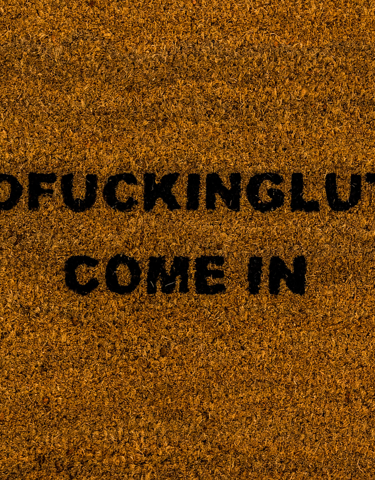 "Absofuckinglutely" Doormat