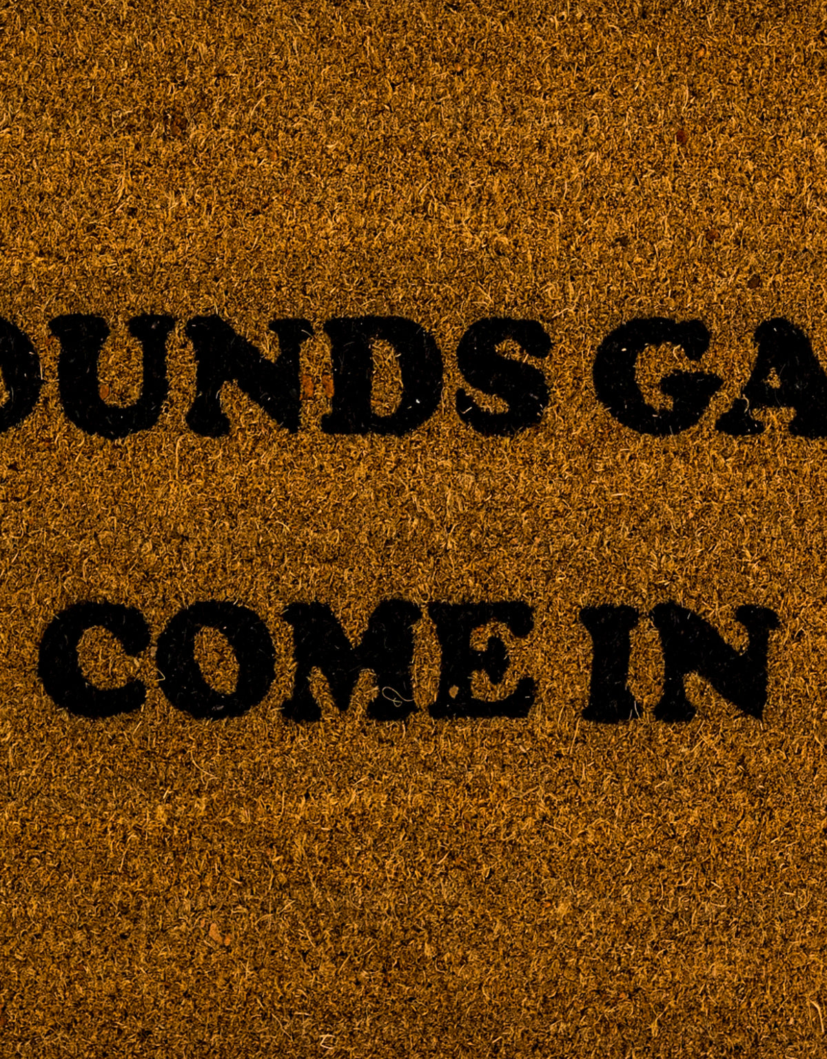 "Sounds Gay, Come In" Doormat