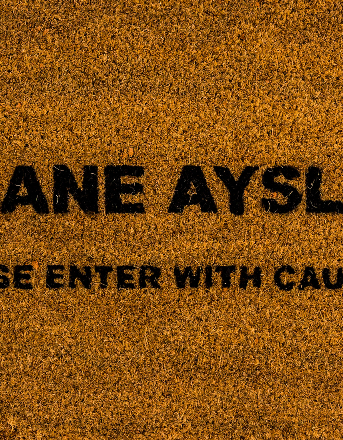 "Insane Ayslum" Doormat