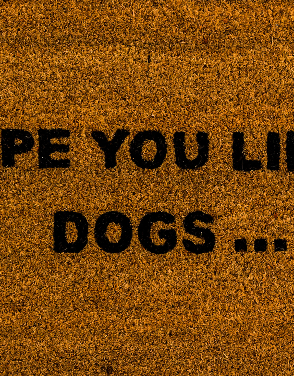 "Hope You Like Dogs" Doormat