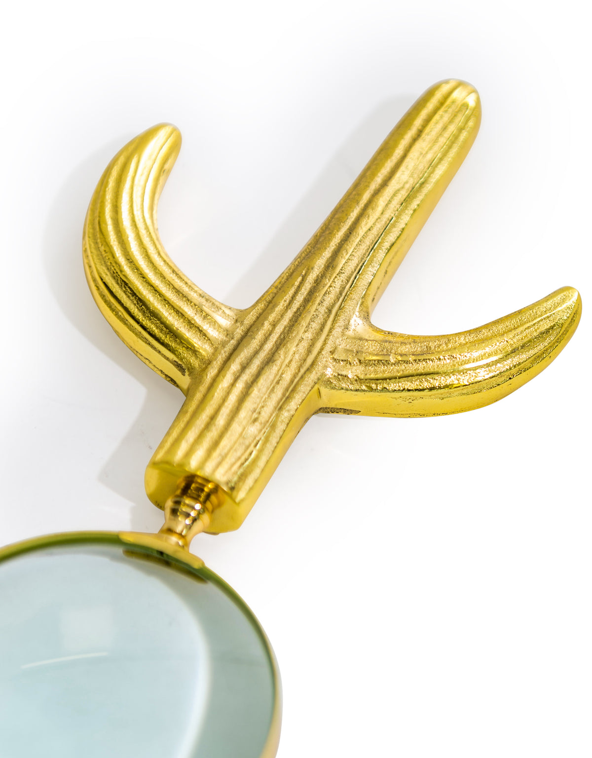Large Cactus Magnifying Glass