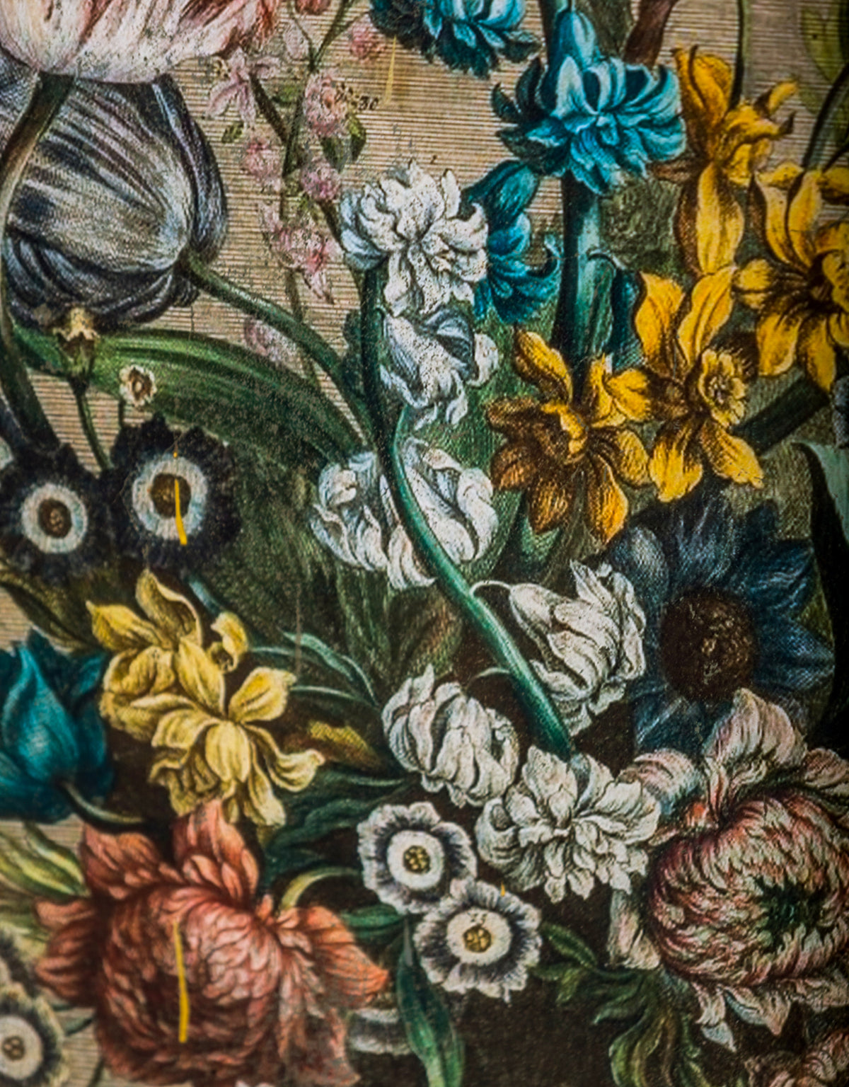 Set of 2 Antiqued White Boho Floral Wall Prints