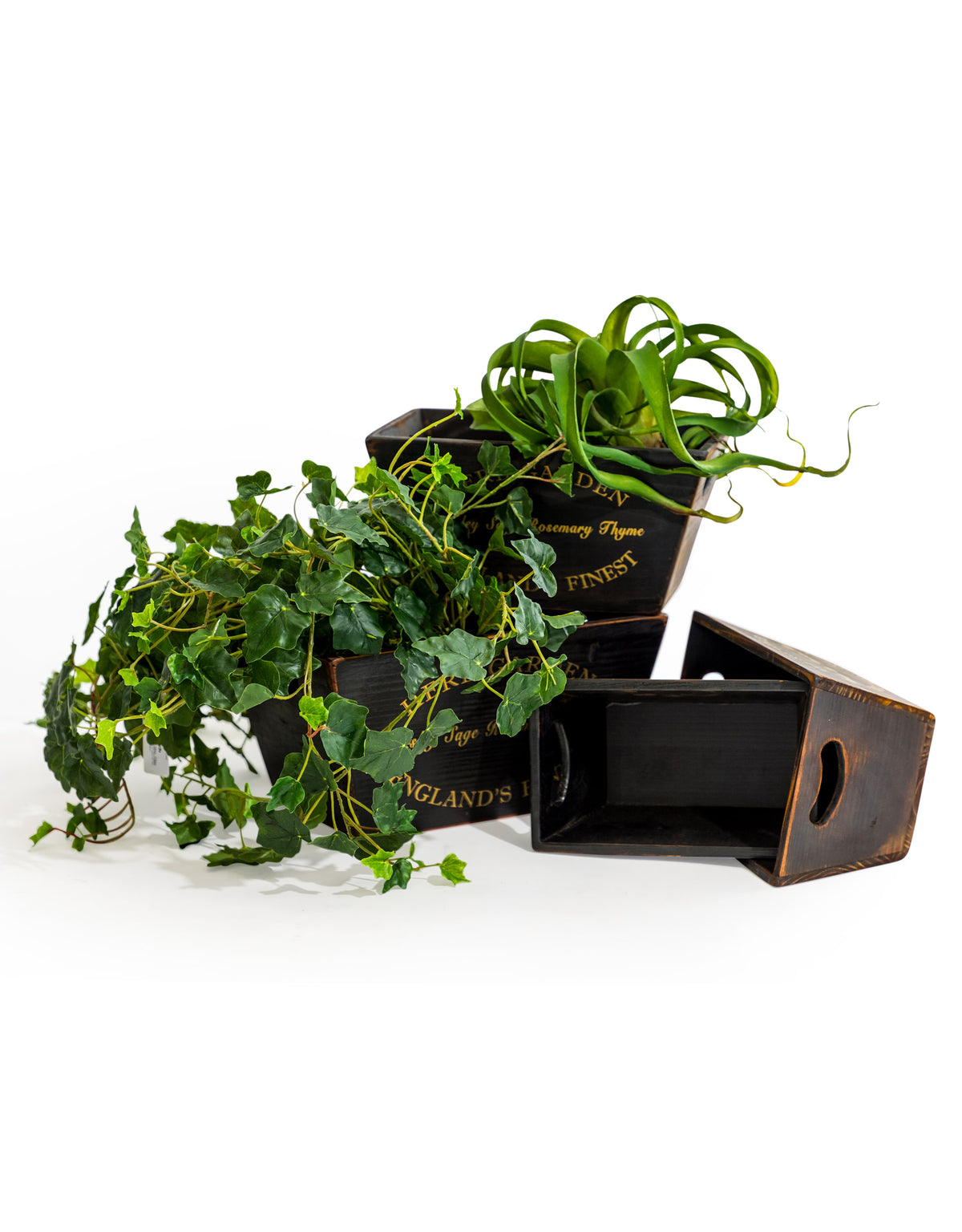 Set of 4 Antique Black Wooden 'Herb Garden' Planters / Storage Boxes