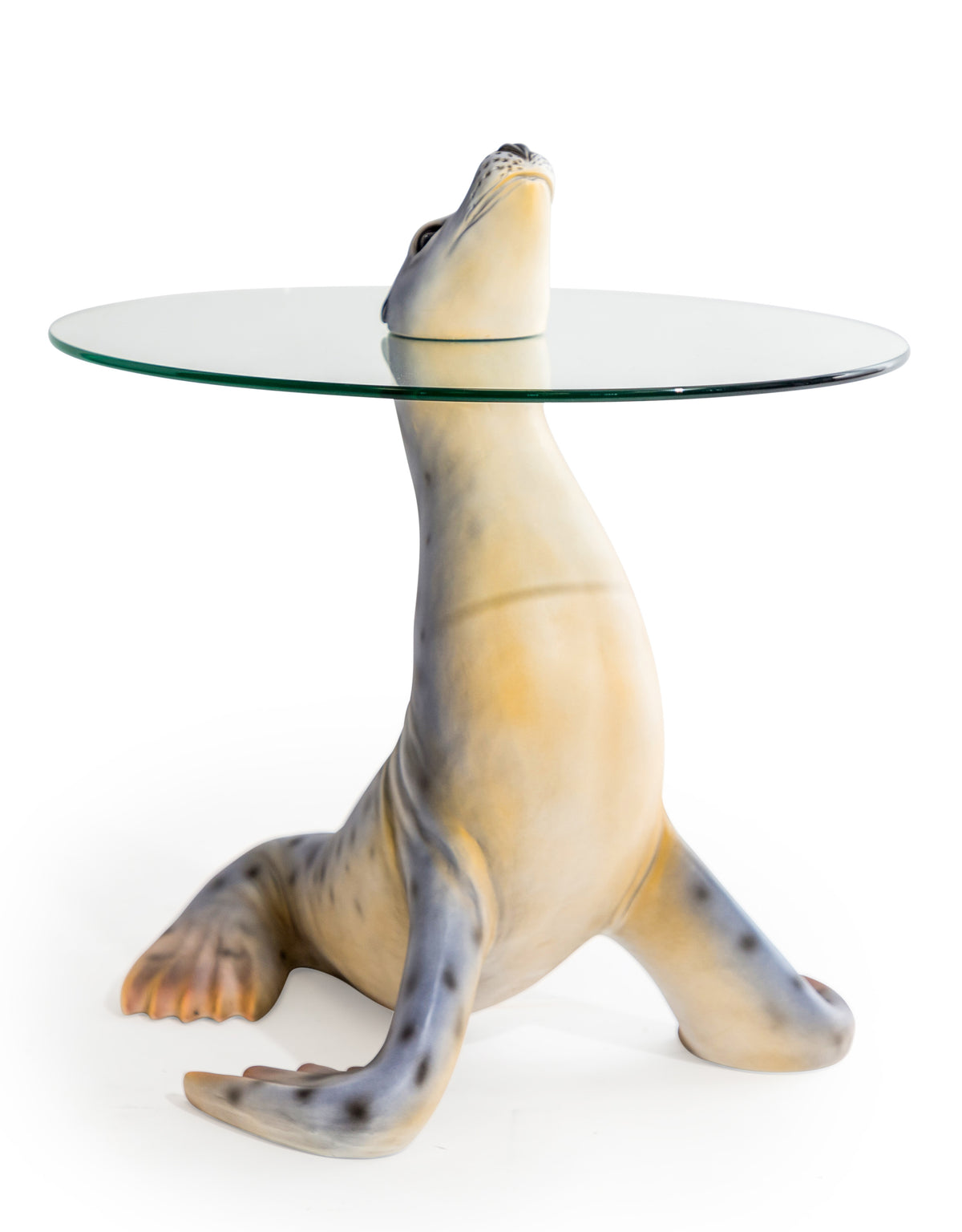 "Natural" Seal Coffee / Side Table