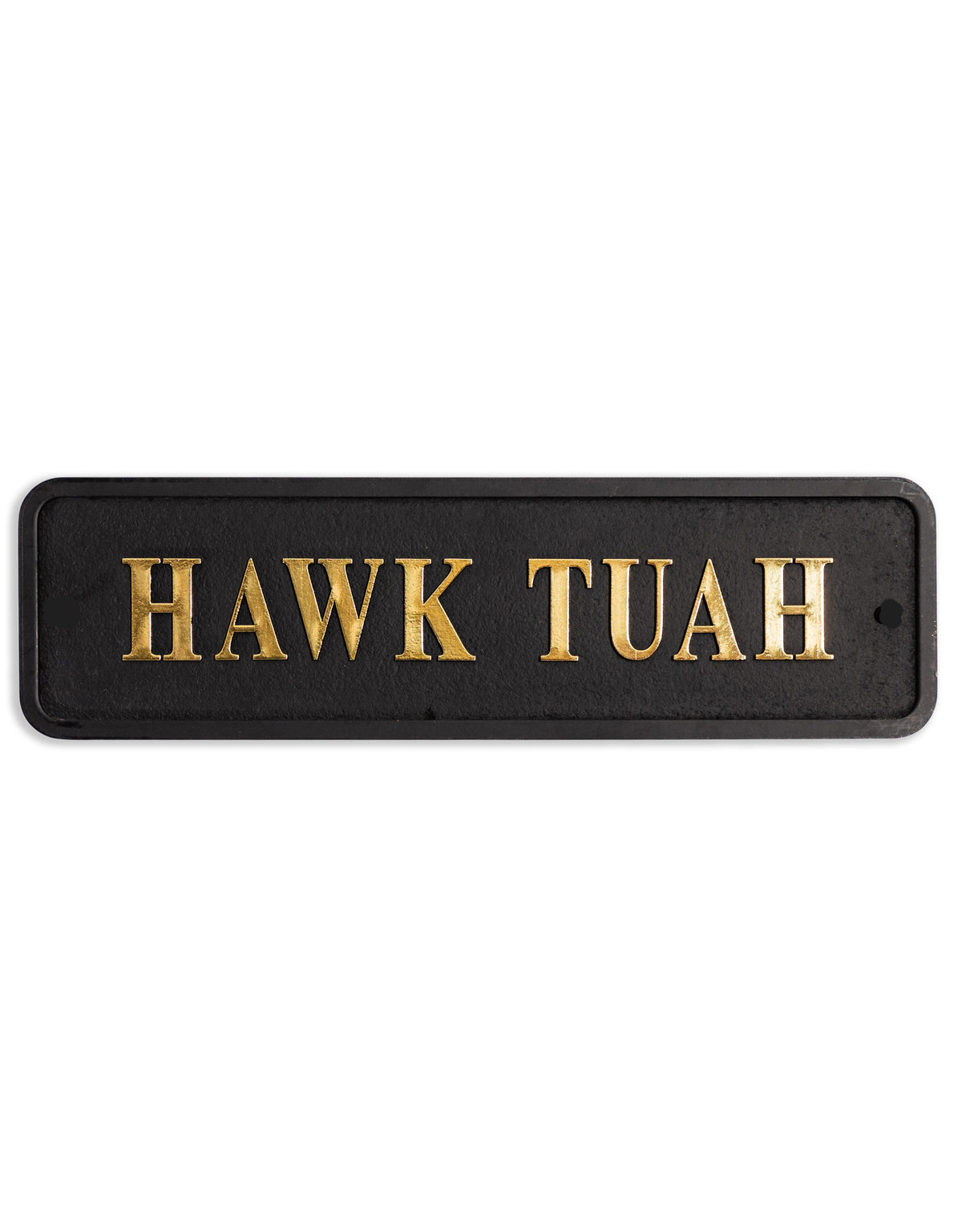 Black & Gold "Hawk Tuah" Wall Sign