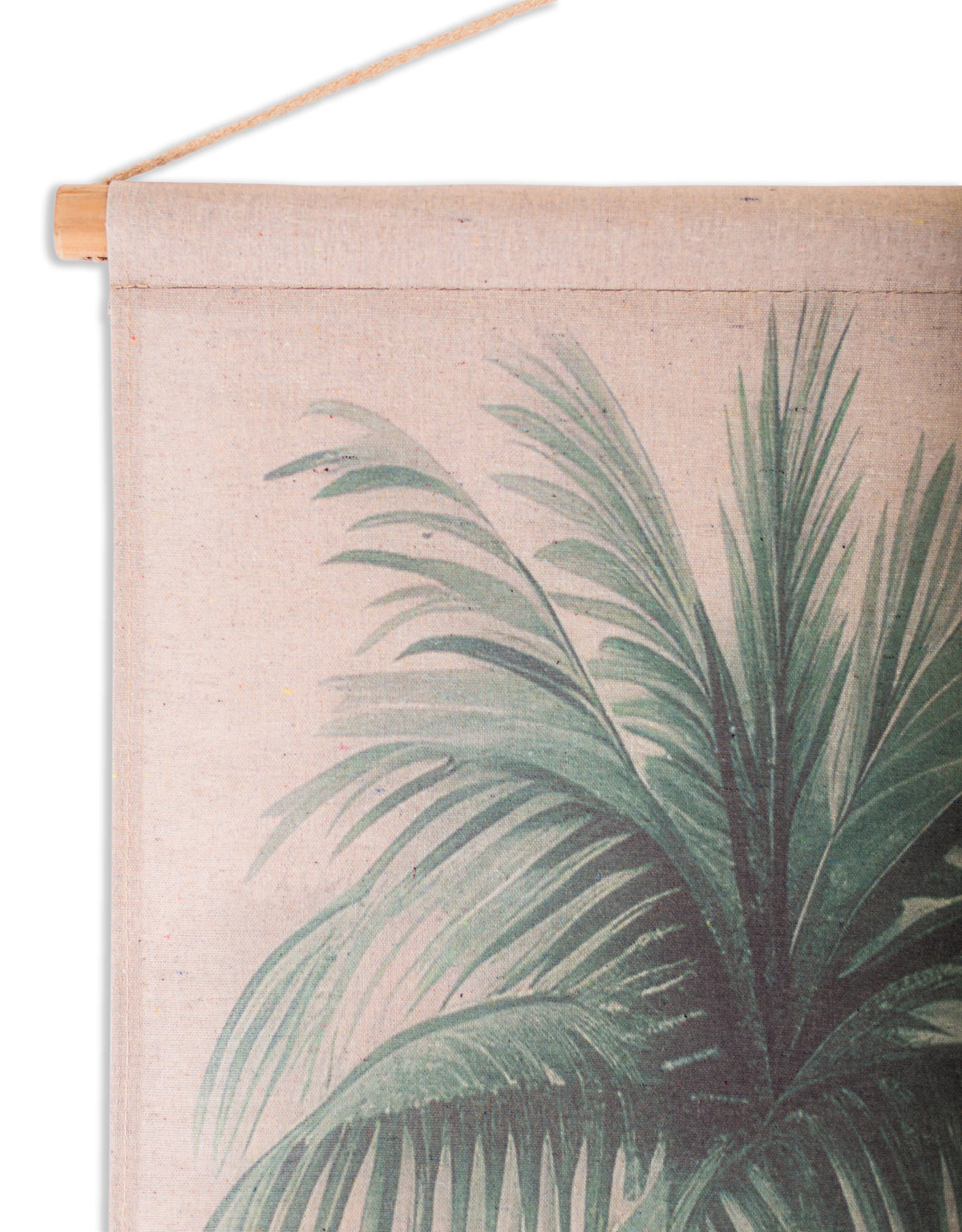 Extra Large Amazonian Rainforest Wall Hanging Canvas Print