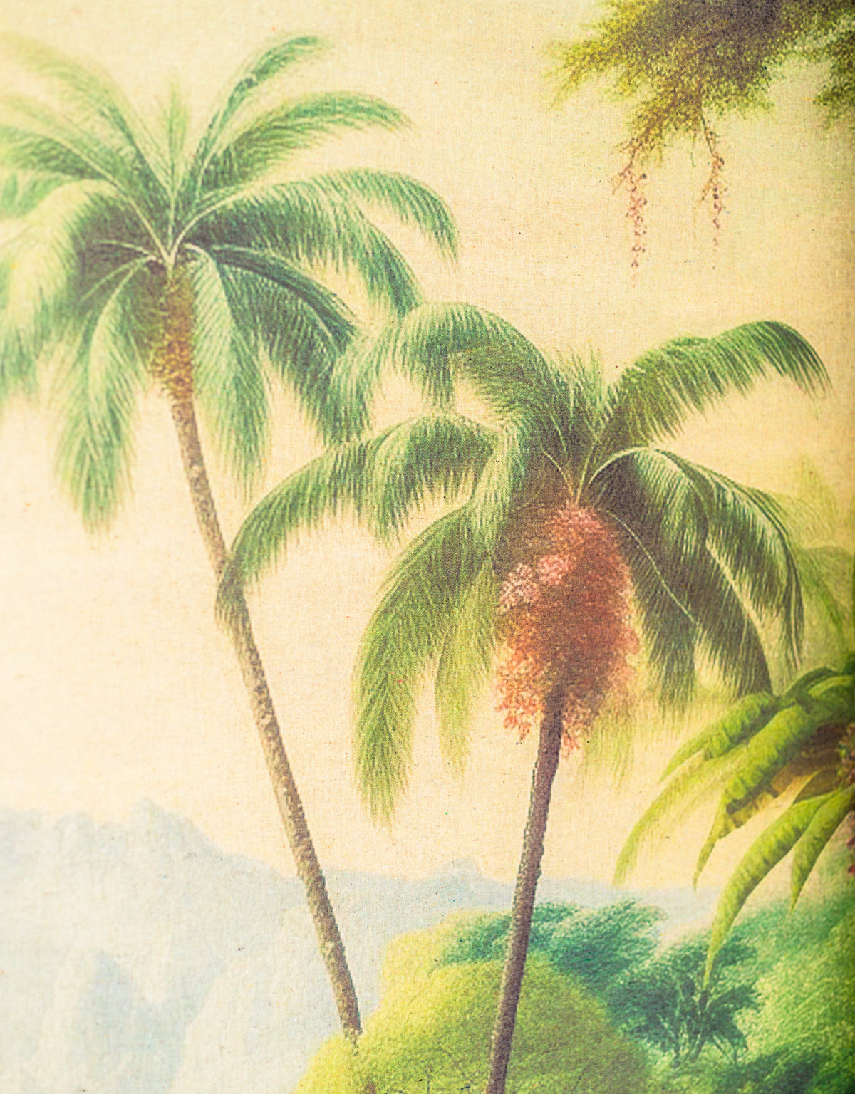 Extra Large Rainforest Landscape Wall Hanging Canvas Print