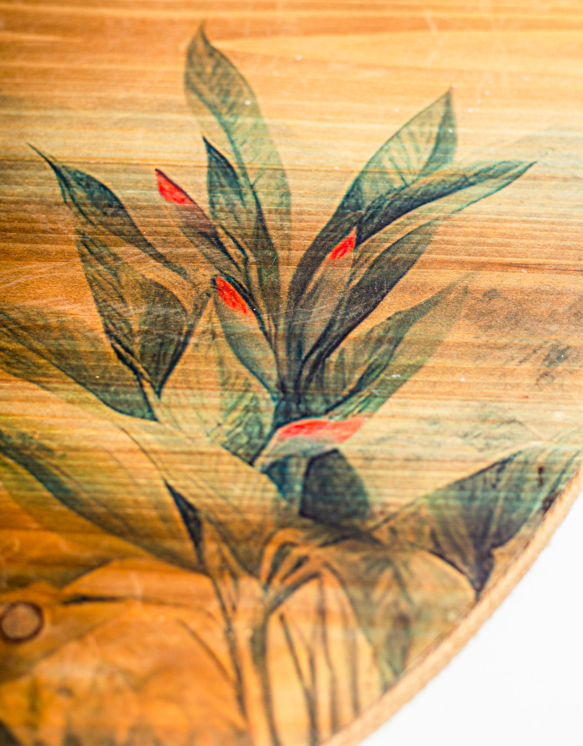 Tropical Landscape Round Coffee Table 80cm