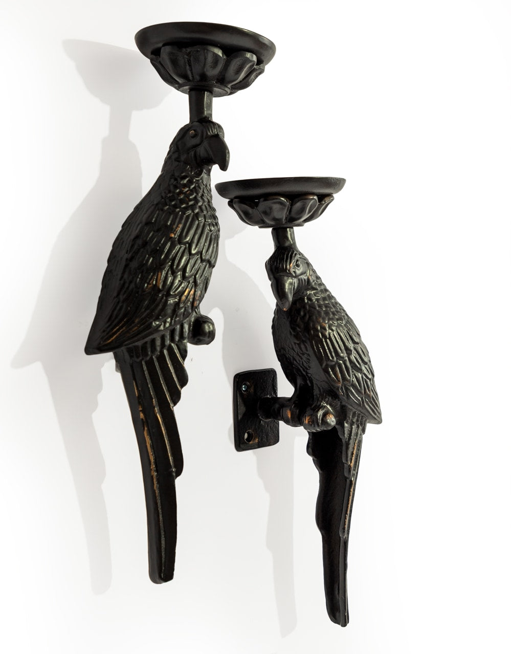 Pair of Large Distressed Black Metal Parrot Wall Sconces