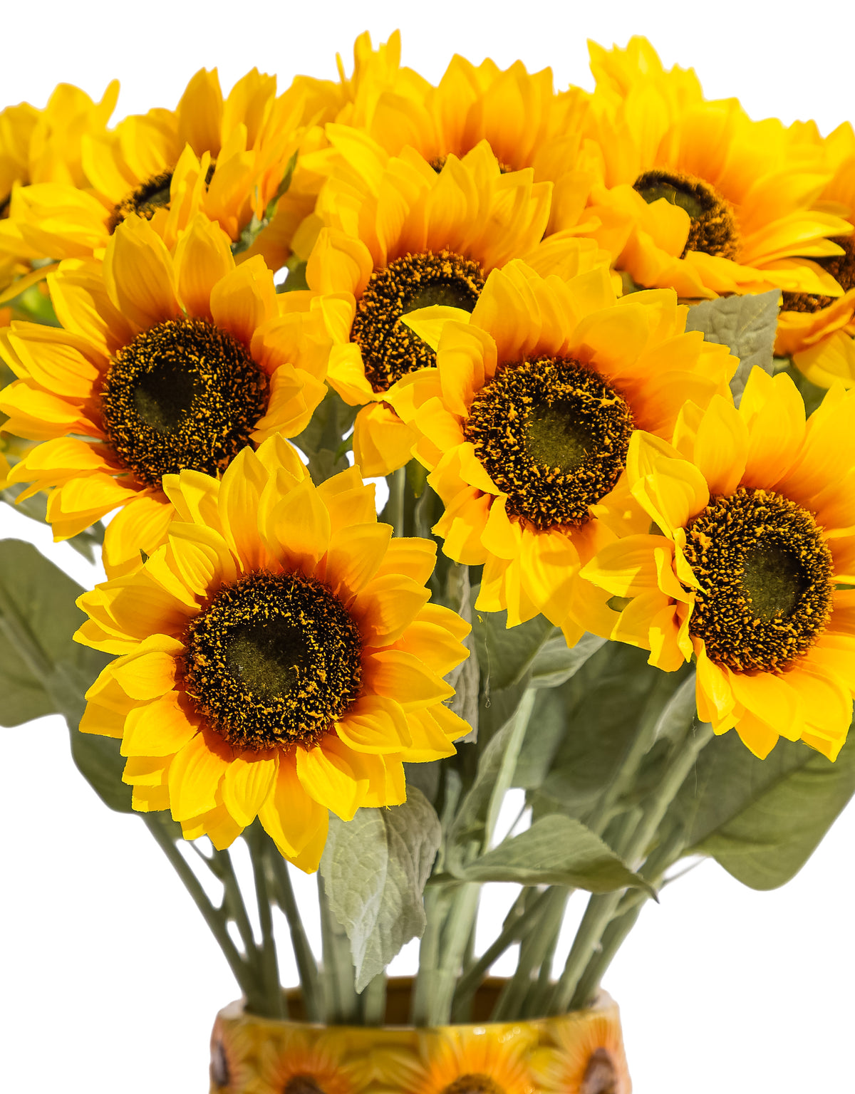 Single Sunflower Stem