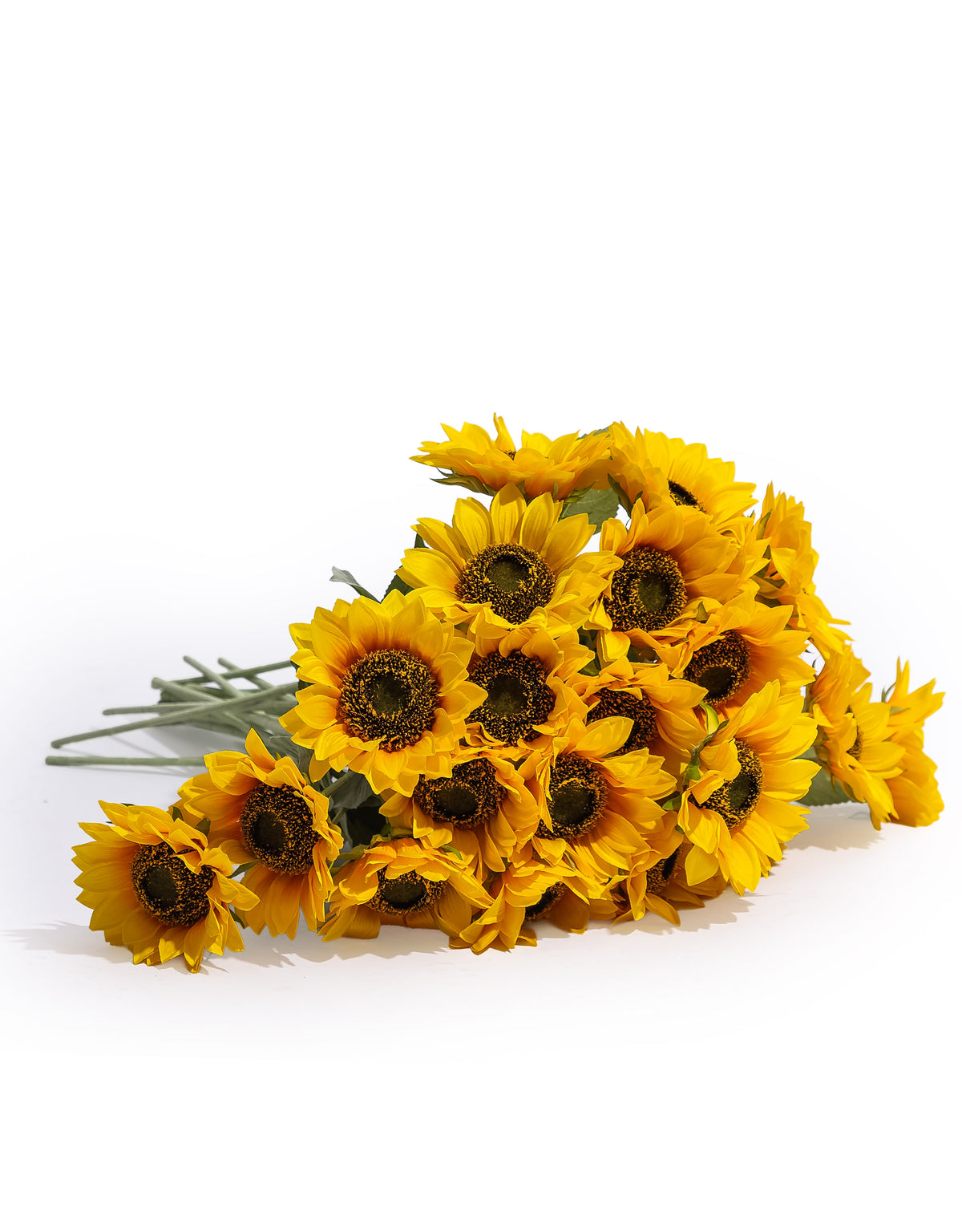 Single Sunflower Stem