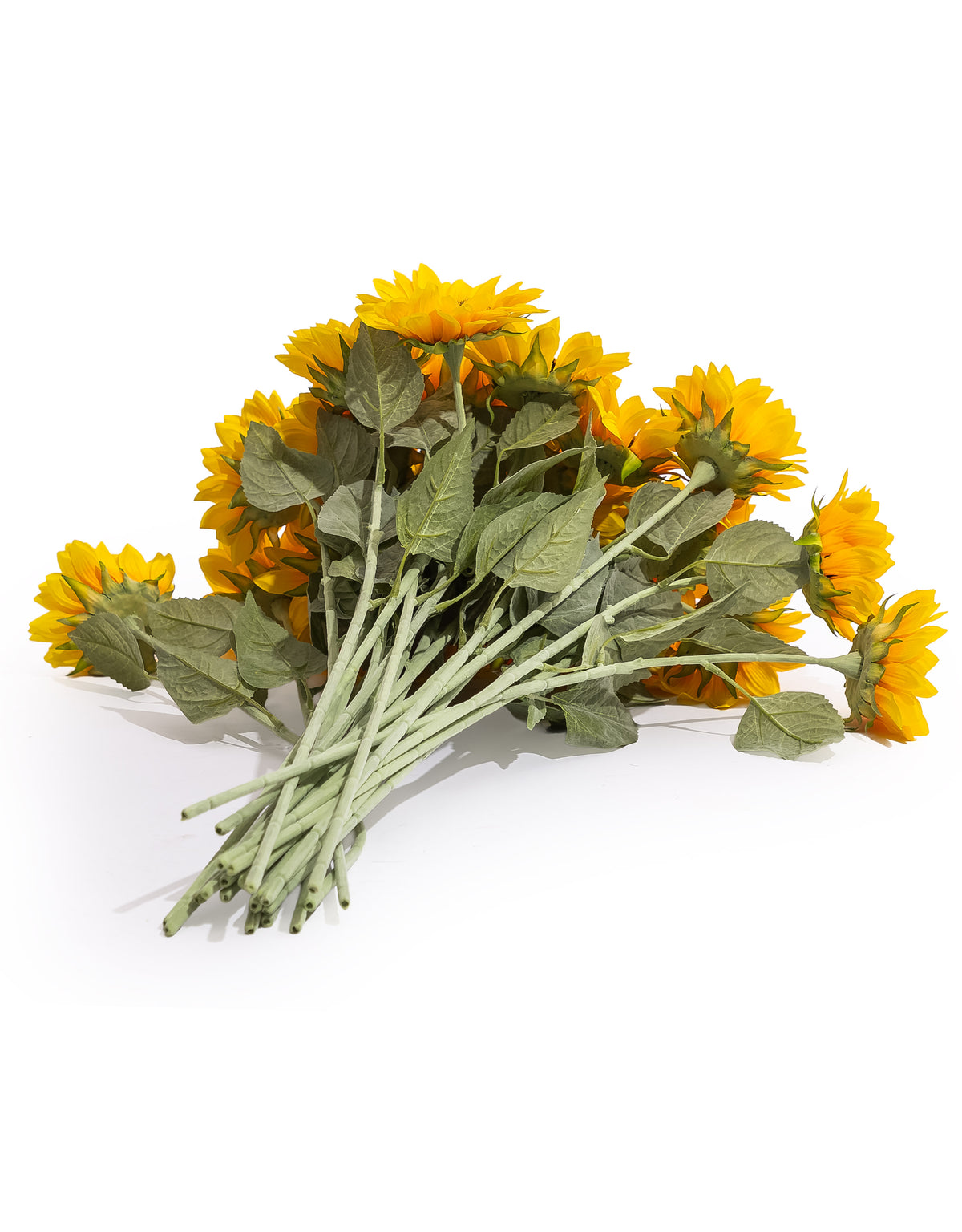Single Sunflower Stem