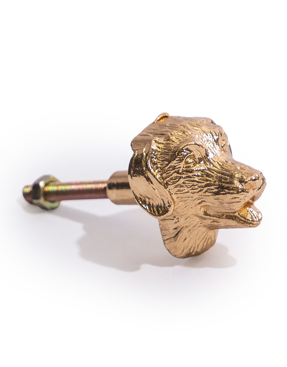Gold Dog Head Drawer Knob