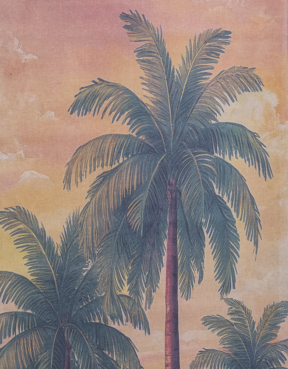 Extra Tall Palm Trees Wall Hanging Canvas Print