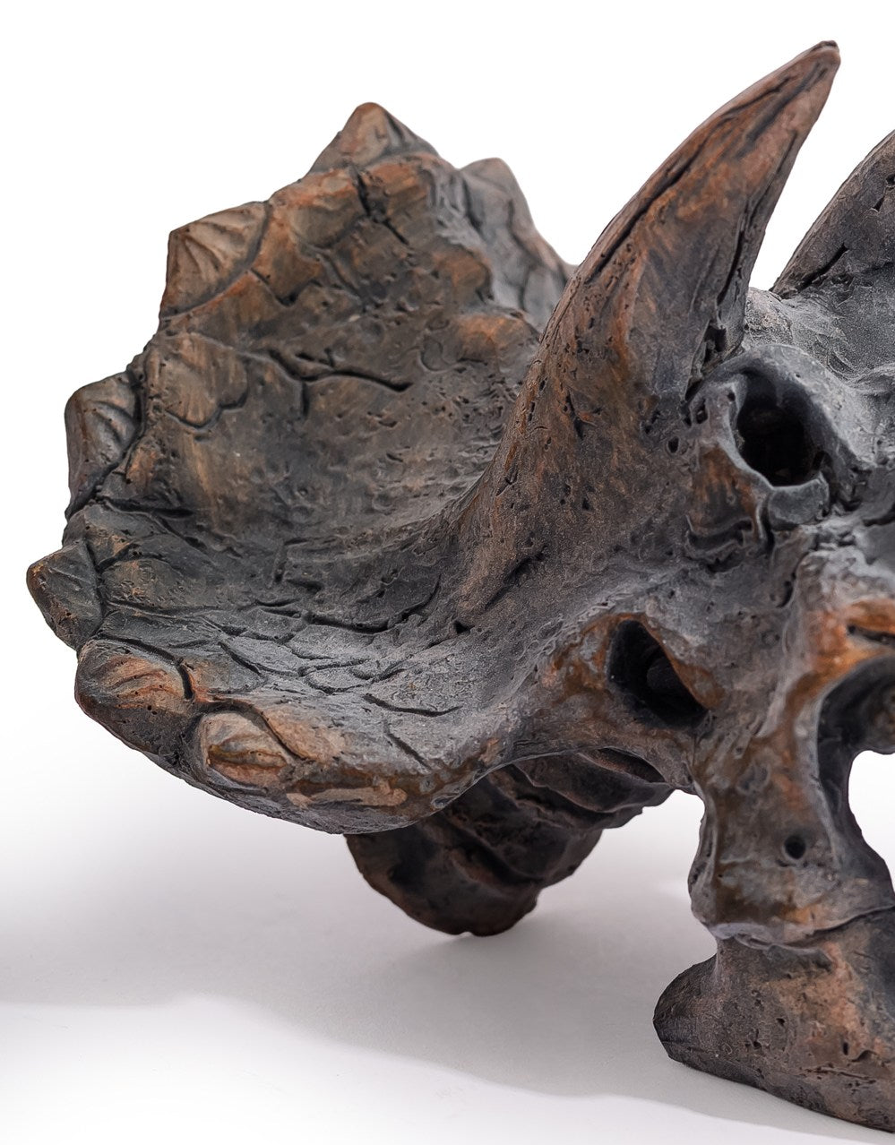 Triceratops Skull Table Decor